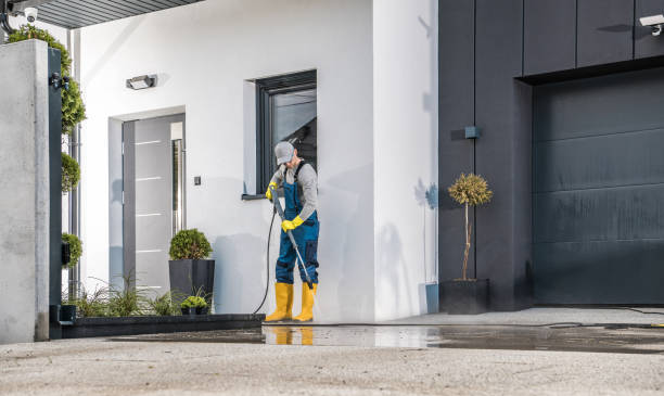 Best Vinyl Siding Pressure Washing in Mercedes, TX